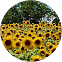 Melissa Soriano profile picture